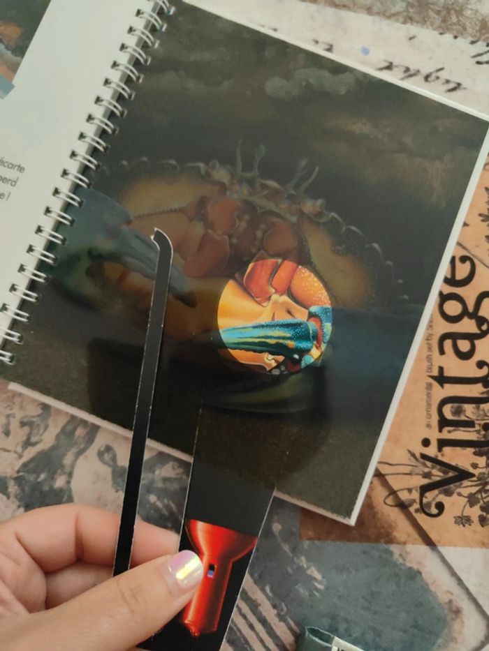 Lot 4 livres j'observe j'explore - photo numéro 5