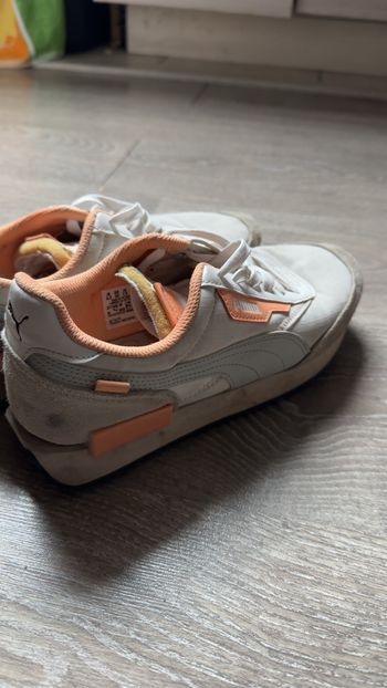 Basket puma