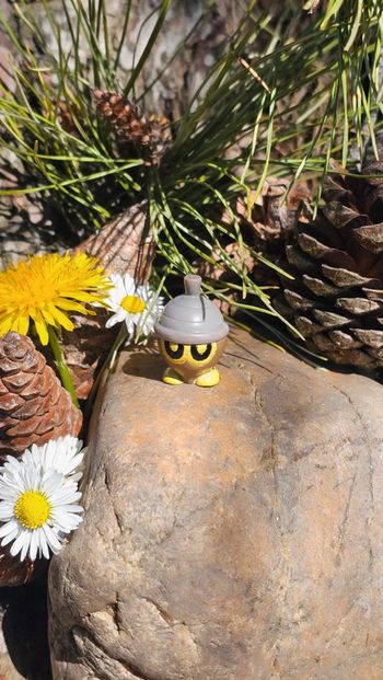 Super petite figurine Pokemon Nintendo Grainipiot