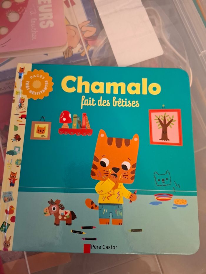 Chamalo fait des betises