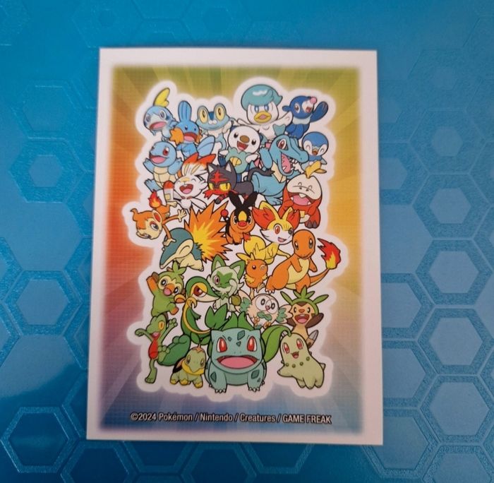 1 sleeve pokemon