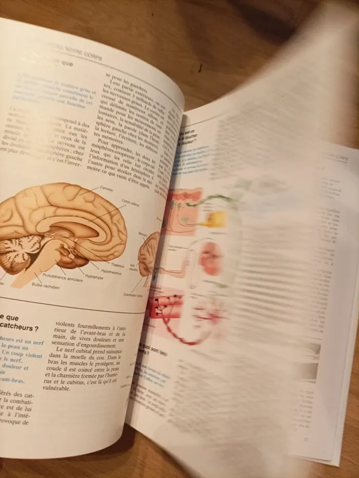 Livre : qu' est ce que c'est ? - photo numéro 5