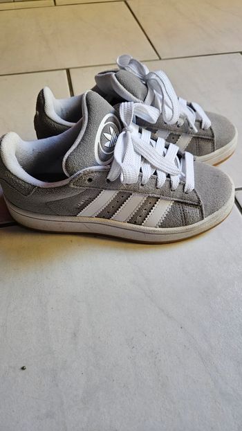Adidas campus grises