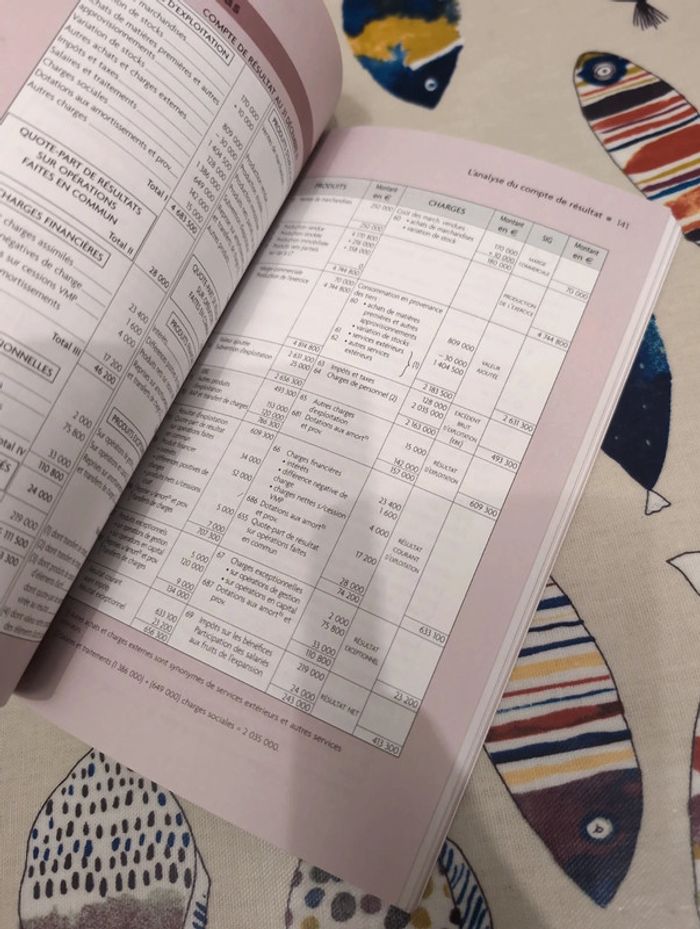 L'essentiel du diagnostic financier - photo numéro 3