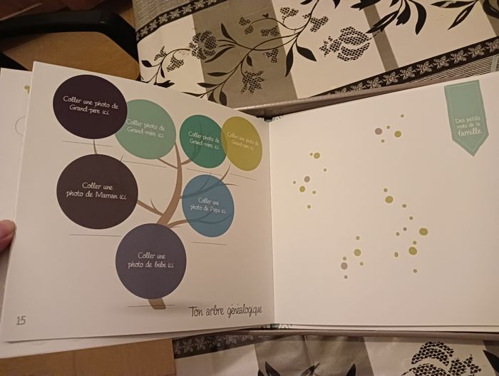 Livré de naissance 🎁 NEUF - photo numéro 5