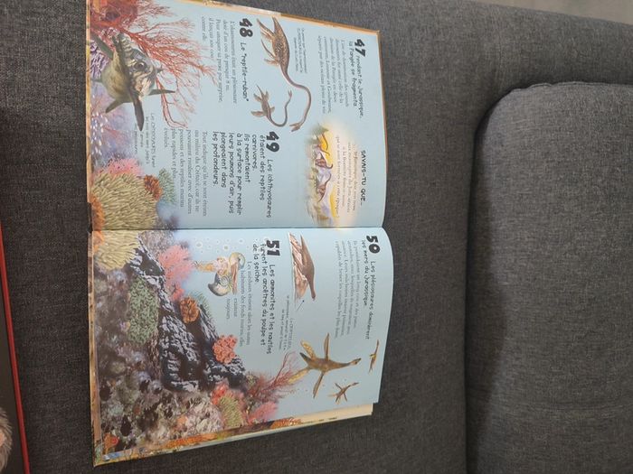 Lot de 3 livres dinosaures - photo numéro 2