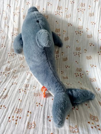 Dauphin requin Wild Republic