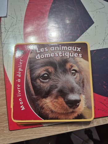 Mon livre à déplier - Les animaux domestiques