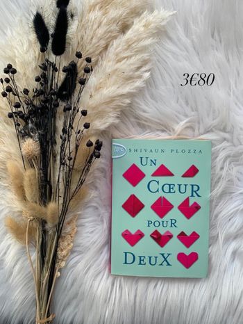 Un coeur pour deux 📚