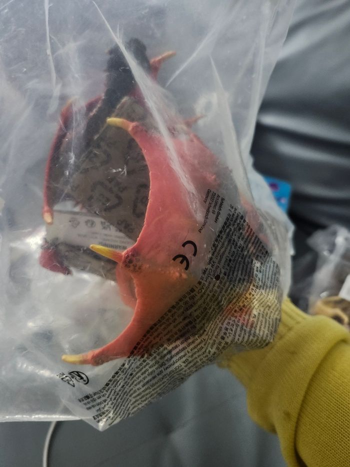 Schleich- Dragon de lave 70138 - neuf - photo numéro 2