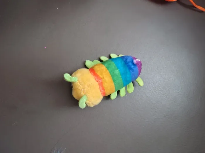 Mini chenille multicolore