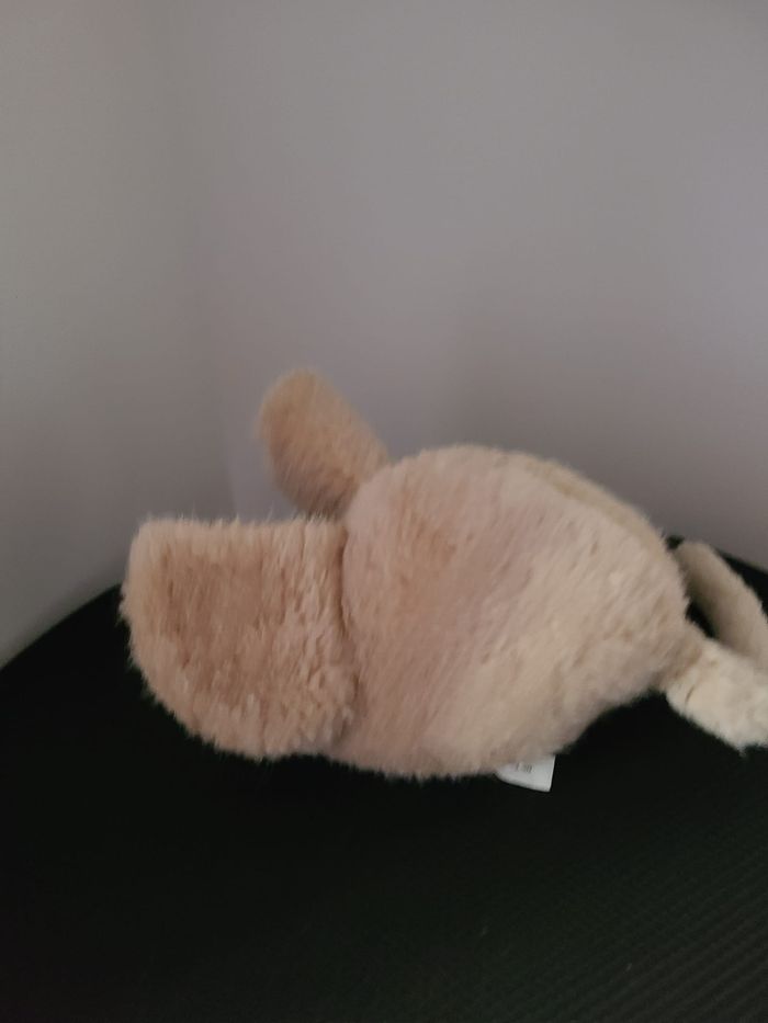 rat souris - photo numéro 4