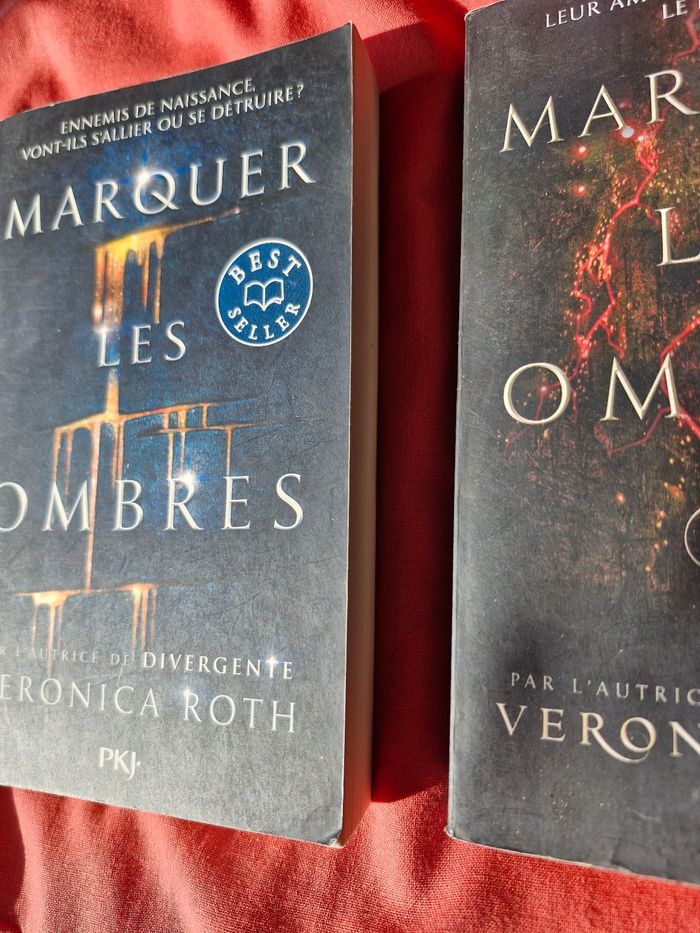 Intégrale Saga Marquer les ombres Best Seller - photo numéro 9