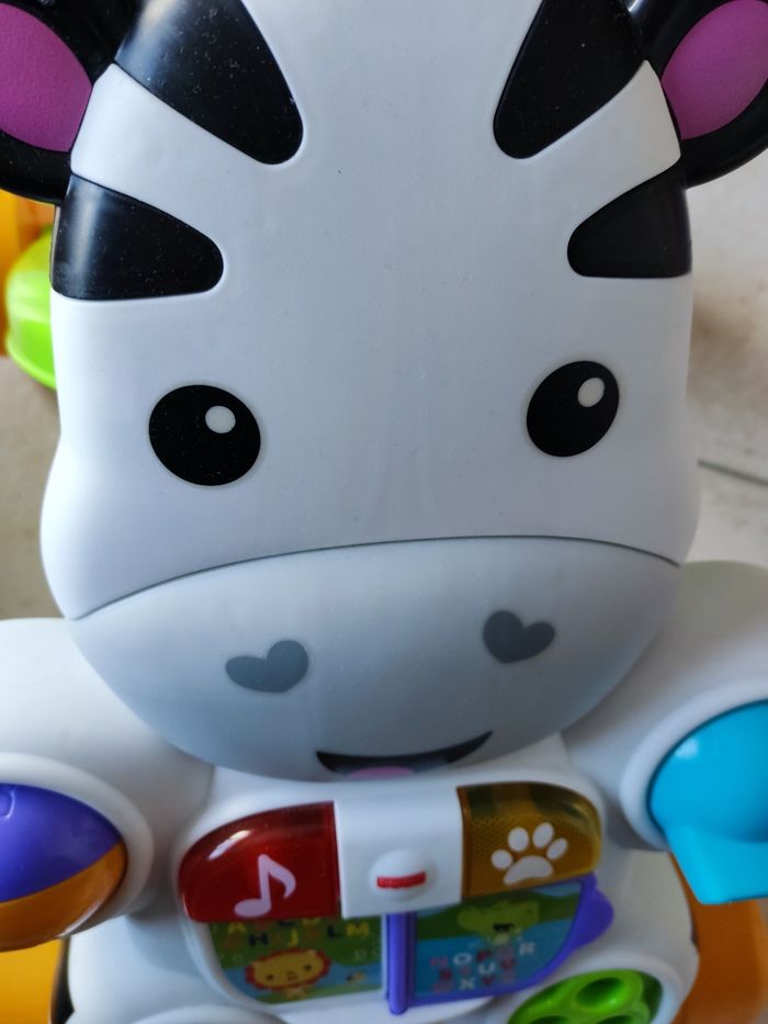 Trotteur Zèbre - photo numéro 4