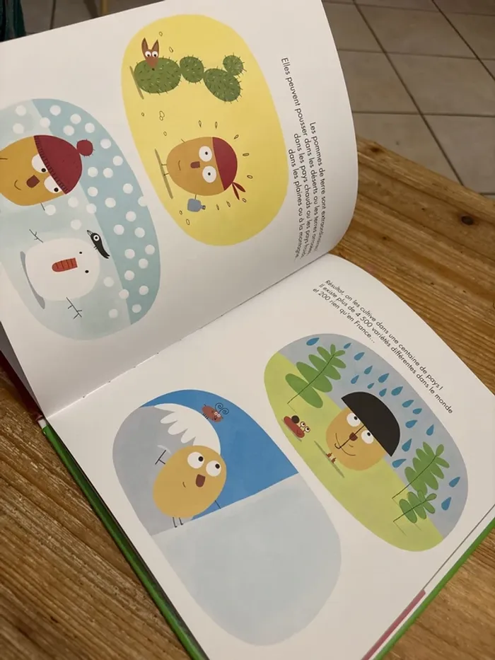 Les pommes de terre - photo numéro 2