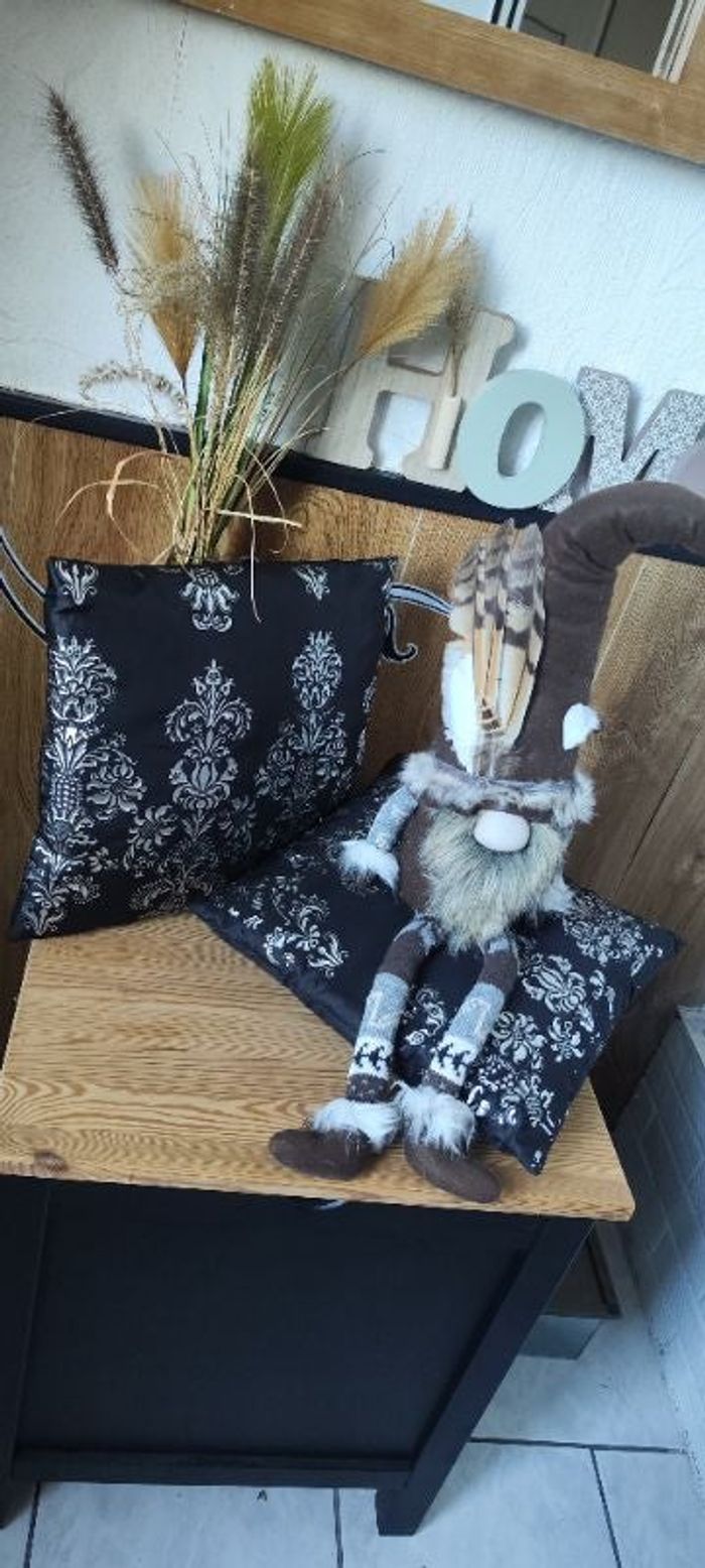 Lot de 2 coussins et taies décoratif