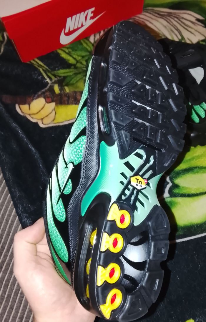 TN neuve 60€ - photo numéro 4