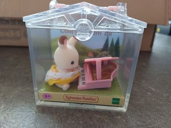 Lot valisette Sylvanian Families 