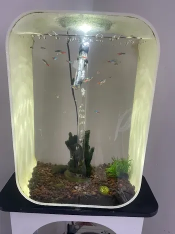 Aquarium biorb