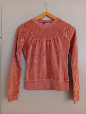 Sweat rose t34 