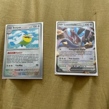 Lots de carte Pokémon