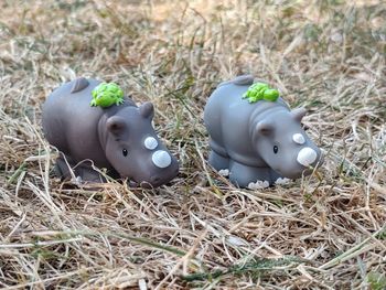 Couple rhinoceros little people
