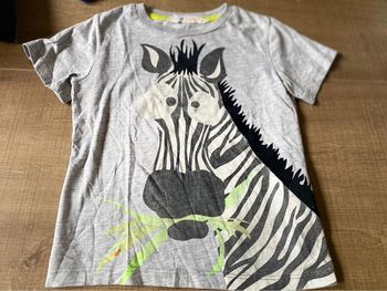 T shirt zebre