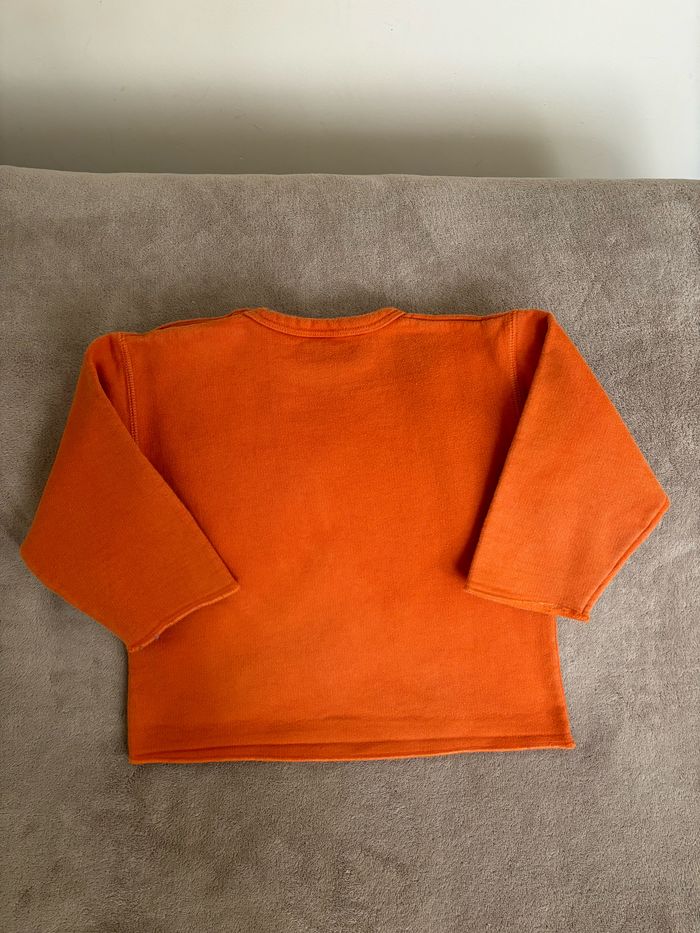 Sweat PETIT BATEAU 2 ans - photo numéro 4