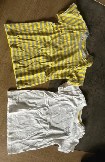 Lot de 2 t-shirt manches courtes, bébé garçon, lupilu, 12-24 mois