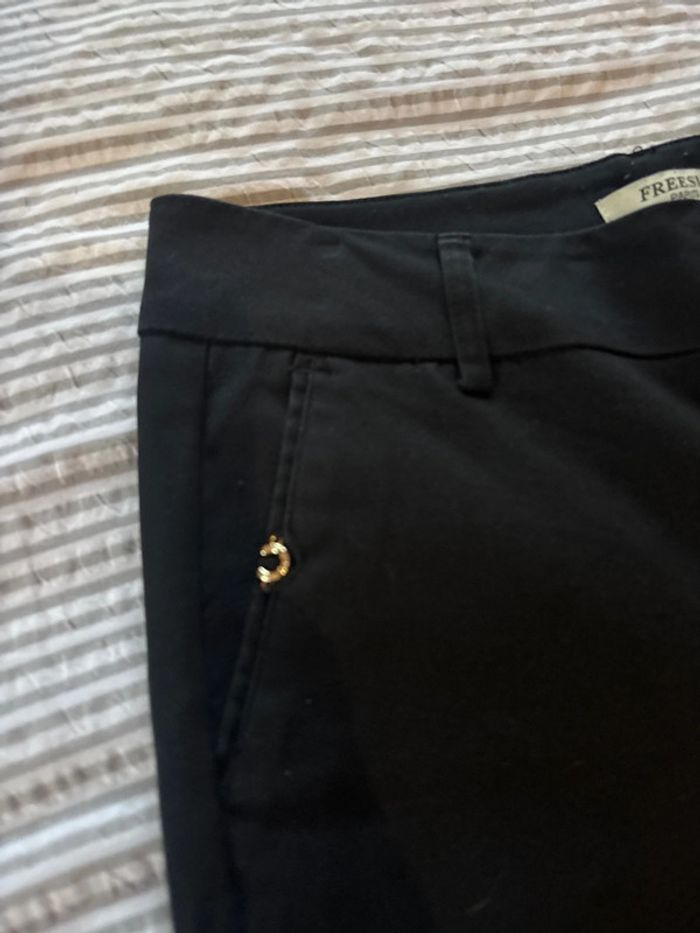Chino - photo numéro 3