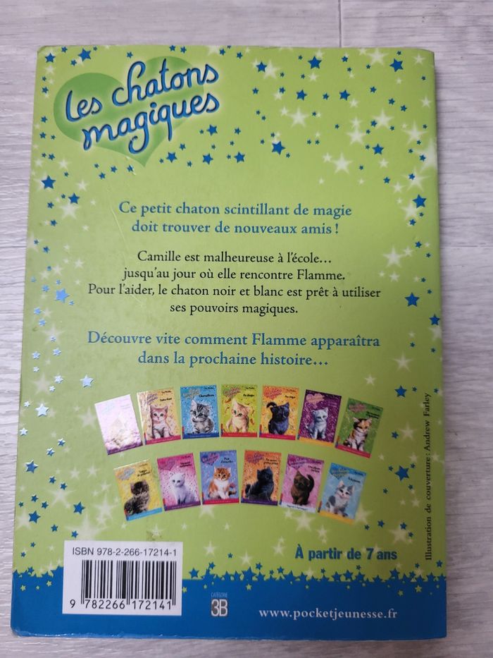 Livres collection les chatons magiques - photo numéro 4