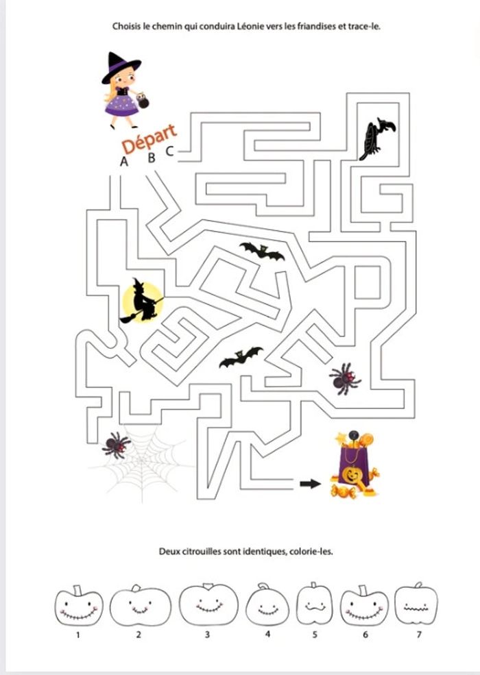 Feuilles activités - photo numéro 5