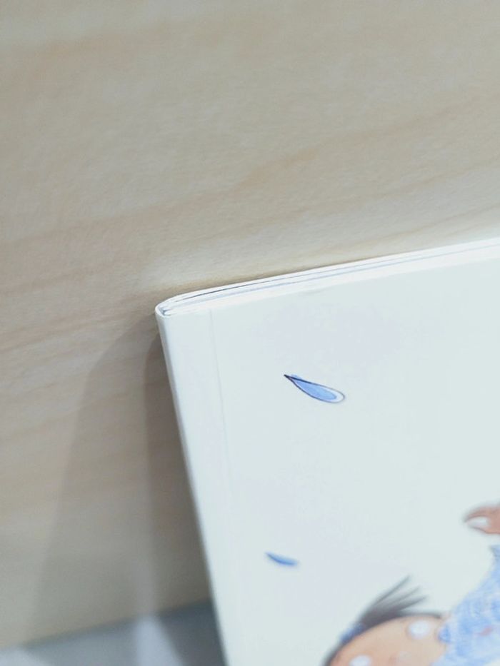 🌺 Livre (école des loisirs) : L'ouragan - photo numéro 8