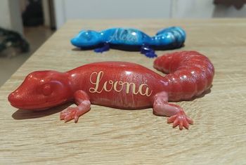 Salamandre personnalisée