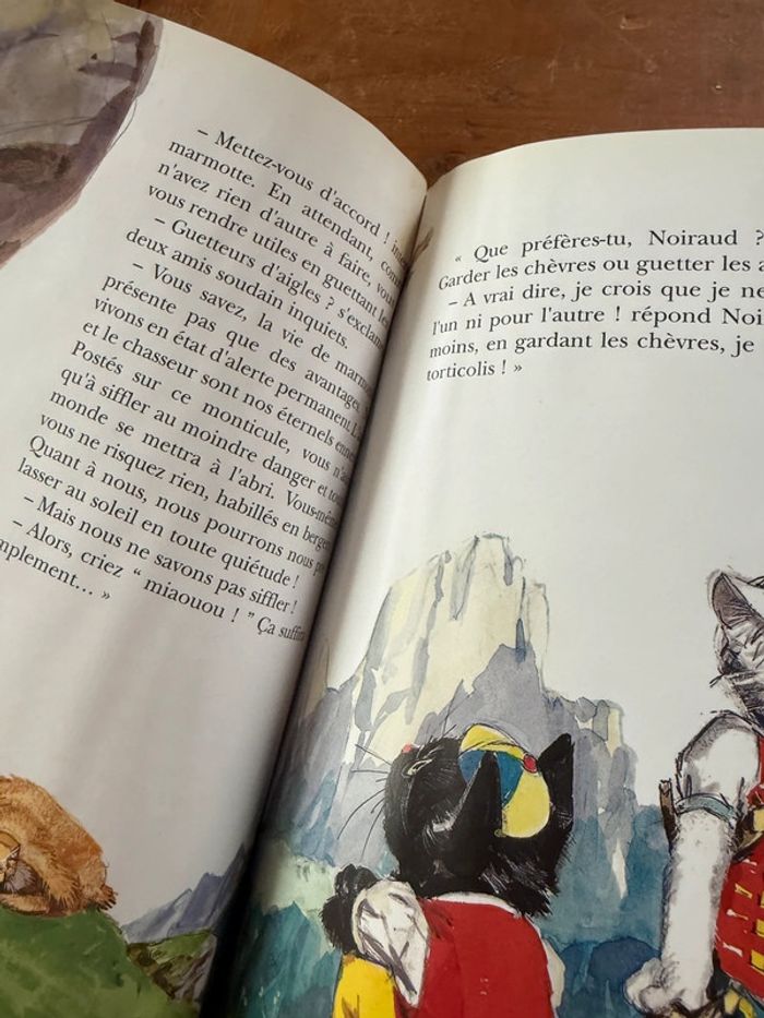 Moyen 1 - Livre édition limitée reliure rouge Caroline dans les Alpages Pierre Probst bd - photo numéro 16