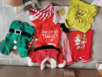 Vêtements Noël