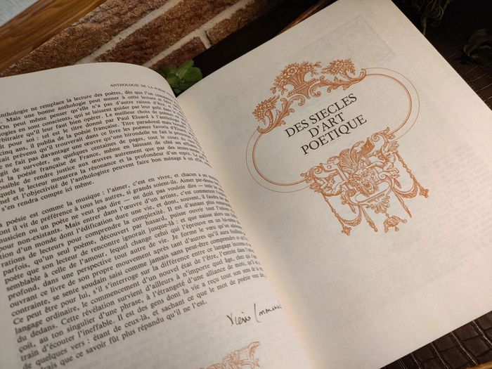 Anthologie de la poésie française
/ Reliure cuir
Tranche supérieure dorée
- Editions Famot 1973 - photo numéro 4