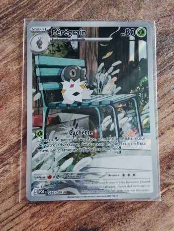 Carte de Pokémon 