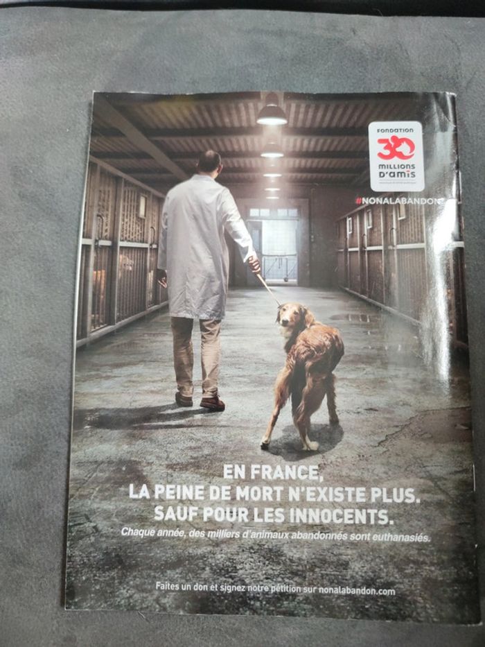 Magazine 30 millions d'amis numéro 389 novembre 2020 - photo numéro 2