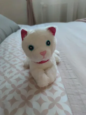 Peluches Chat