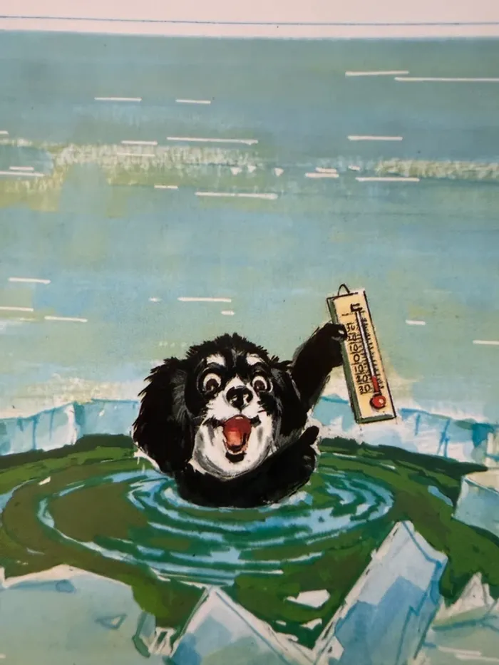 Livre rare Caroline et ses amis - Hachette - en Russie damiers - photo numéro 6