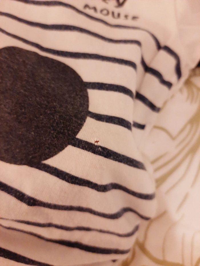 Combishort Mickey 12 mois - photo numéro 3