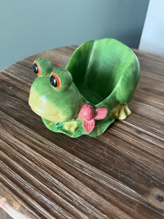 Grenouille 🐸 - photo numéro 5