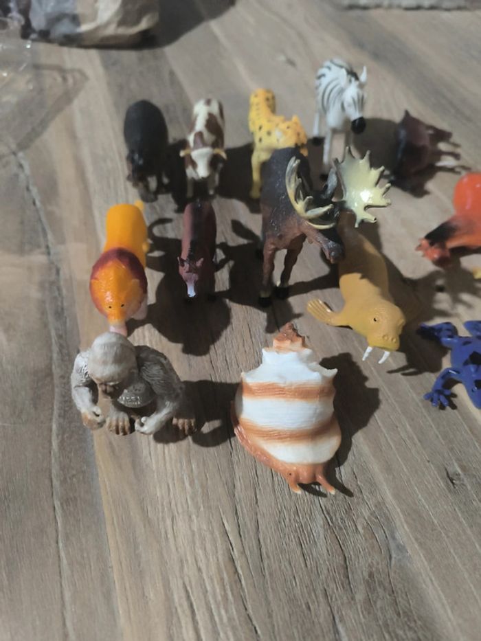 Animaux - photo numéro 2