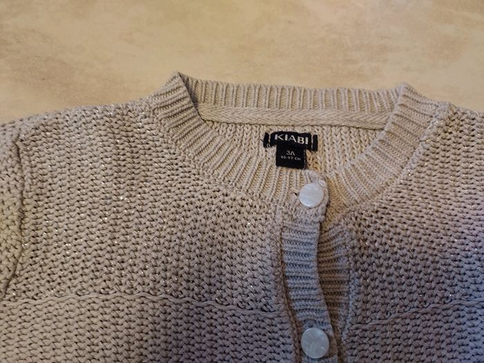 Gilet gris - photo numéro 3