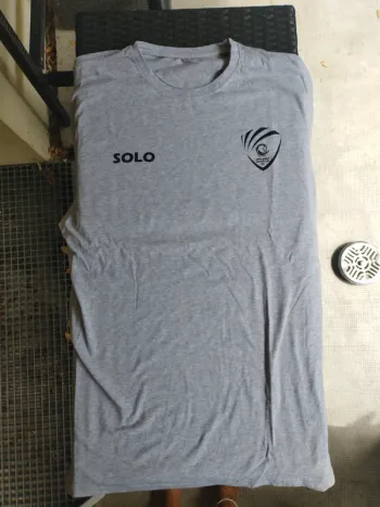 Tee shirt gris