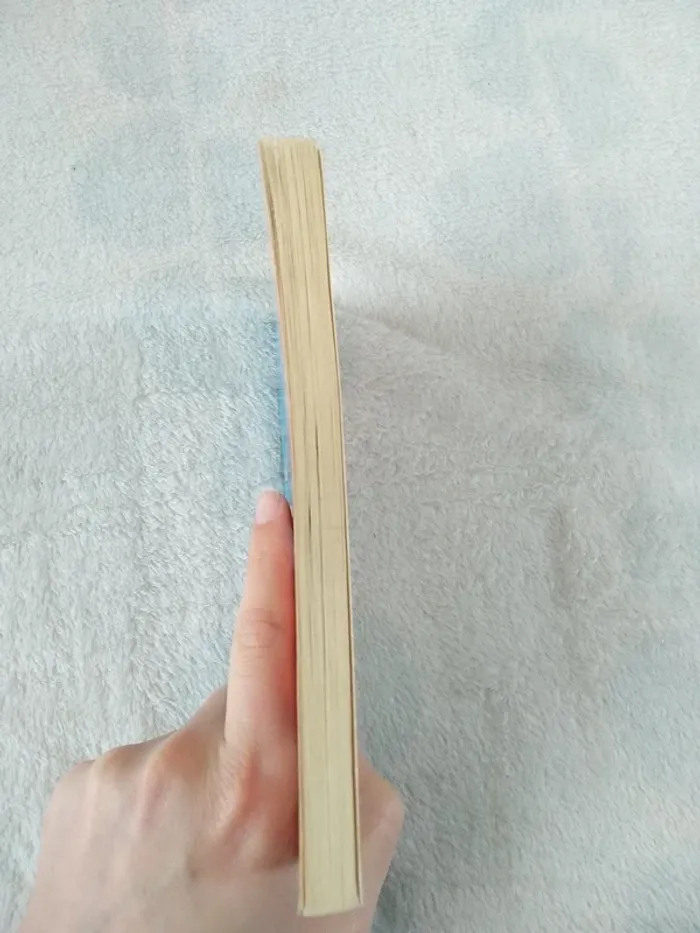 Moi quand je s'rai grand ce s'ra différent ! - photo numéro 3