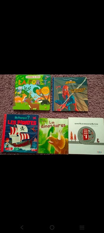 5- Lot de livres pour enfants