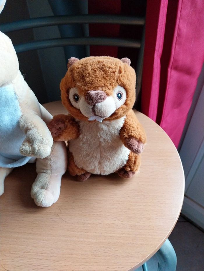 Peluches castor et kangourou - photo numéro 3