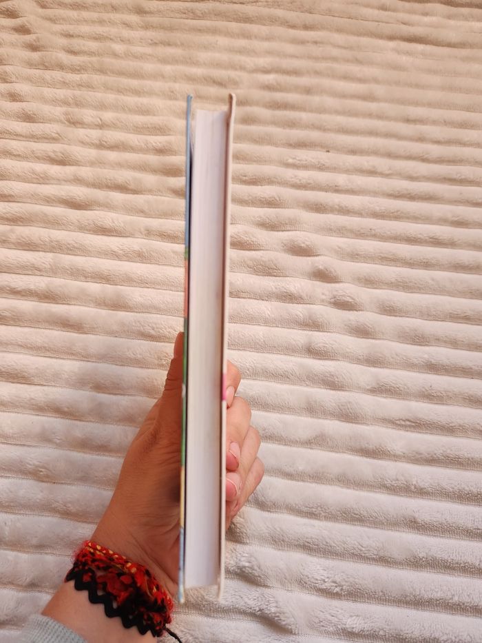 📚 Les Jumelles Tome 4 – Les jumelles font leur numéro (Bibliothèque Rose) - photo numéro 2